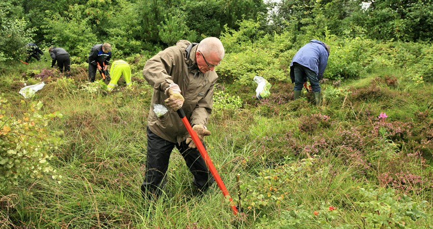 IMG_0245b Before.jpg